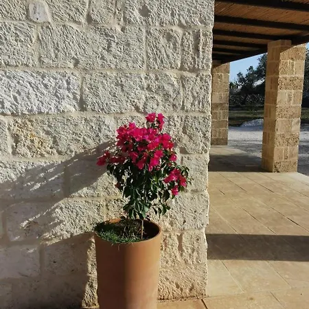 Il Cappero Del Salento *